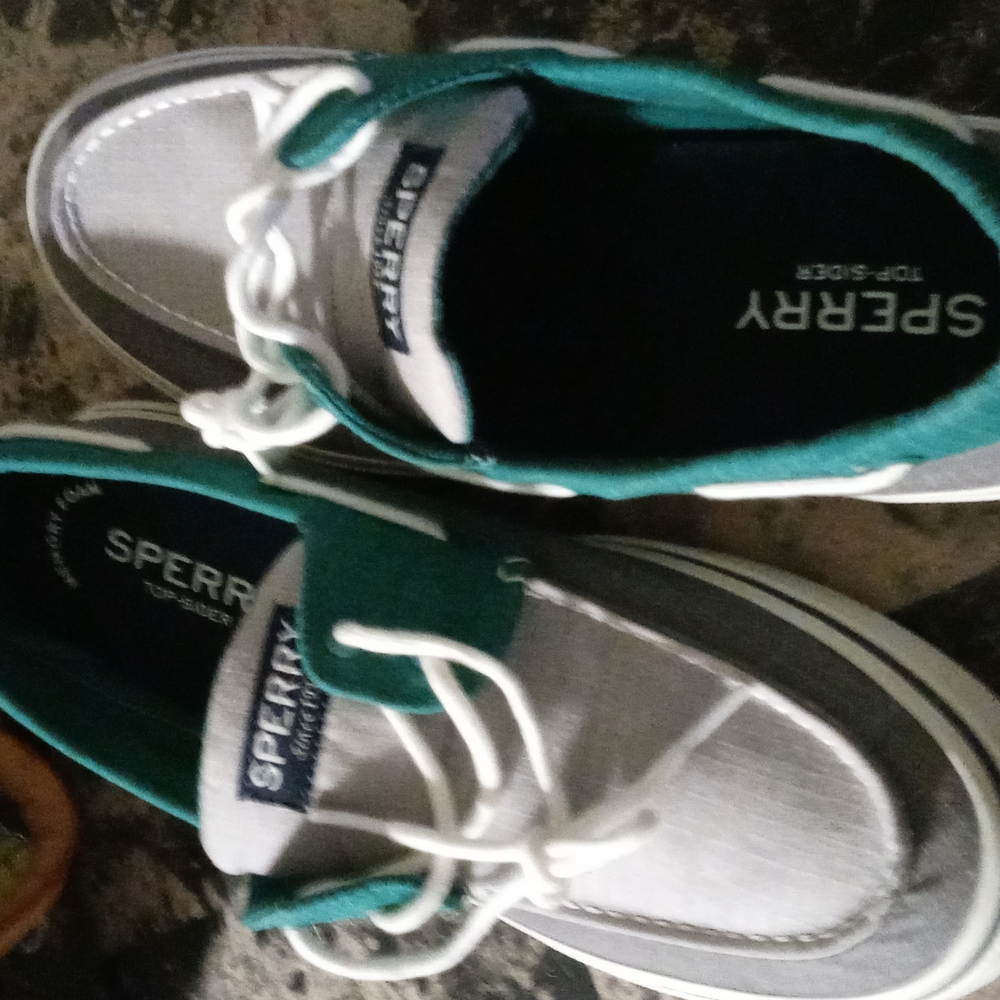 Sperry shoes